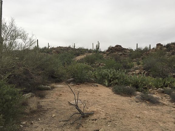 4th image of 2760 W Cougar Canyon Trl