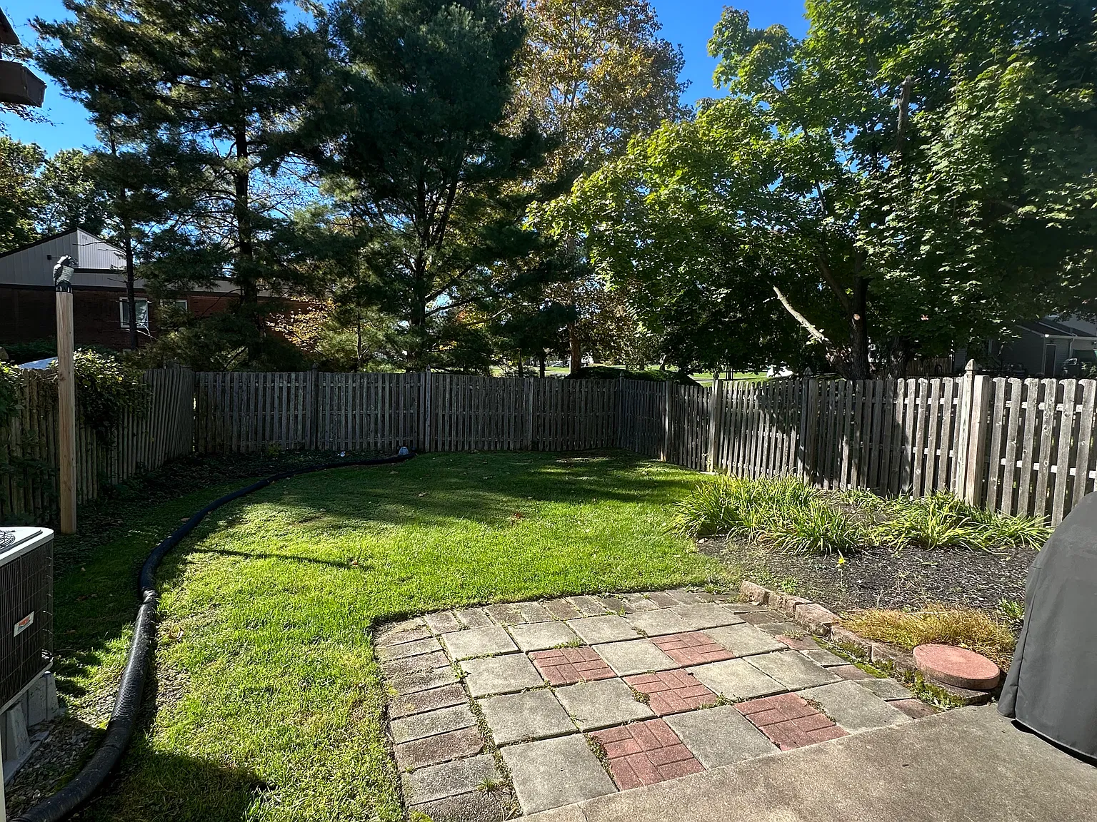 3 bed, 2.5 bath, 1628 sqft, $3,000 — Photo 3
