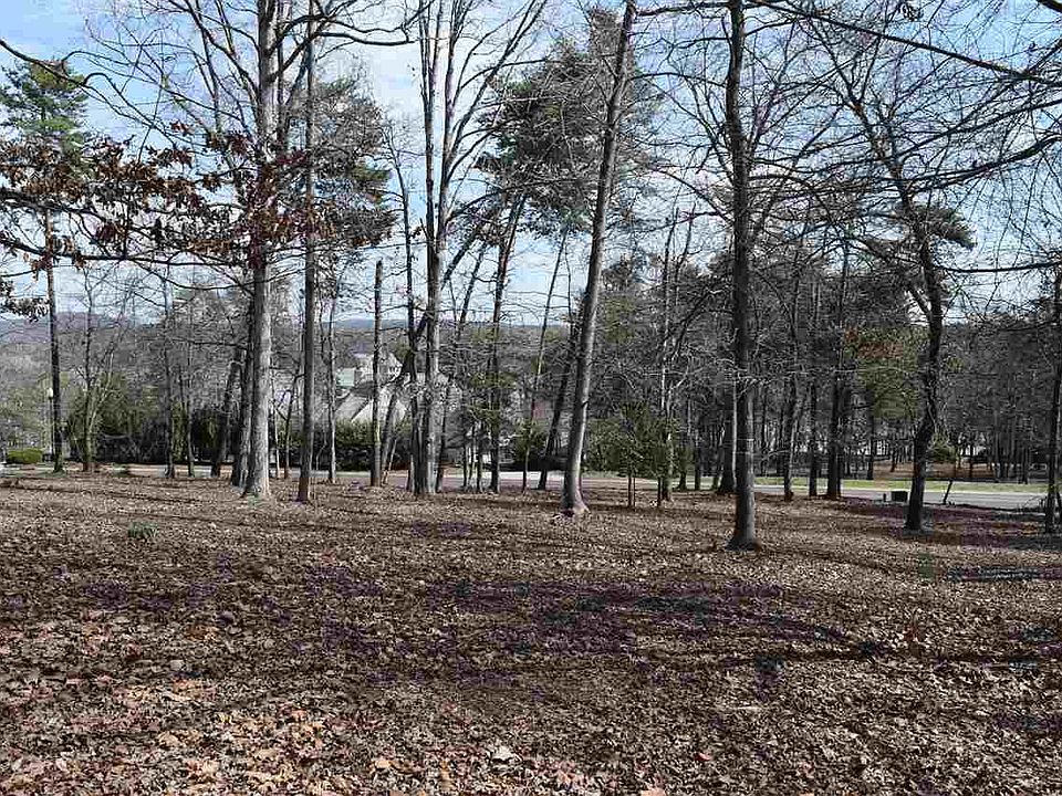 2nd image of 156 Flint Ridge Trl #94