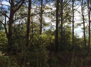 1641 Oak Ridge Club Rd, Windsor, SC 29856