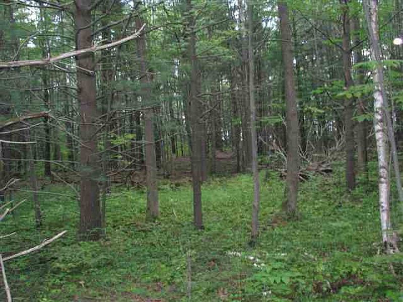 4th image of 0 MEADOWLAND Drive