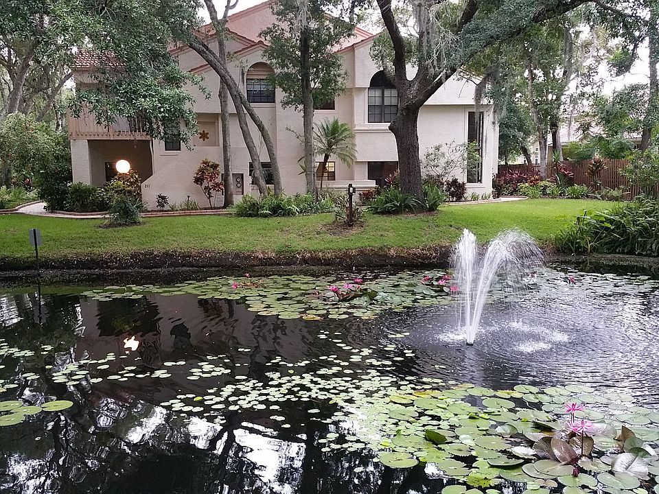 223 Los Prados Dr, Safety Harbor, FL 34695 Zillow