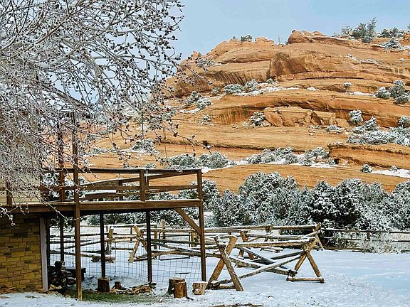 2nd image of 50 Bristlecone Rd