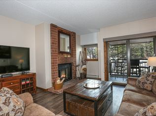 555 S Park Ave #203, Breckenridge, CO 80424