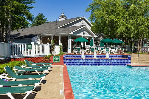 Polo Club Photo 1