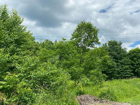 3rd image of 55 Reichwein Rd