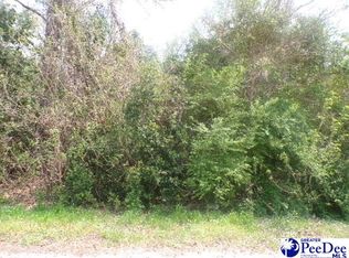 LOT 7 Easy St, Hartsville, SC 29550