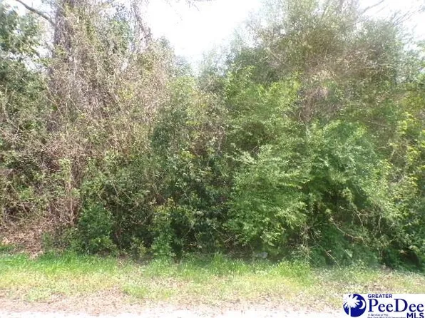 LOT 7 Easy St, Hartsville, SC 29550