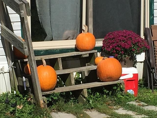 2nd image of 49 Burton Ave