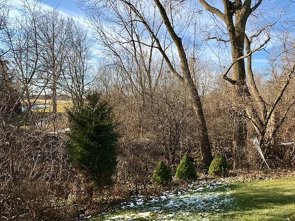 4th image of 17322 Lakebrook Dr