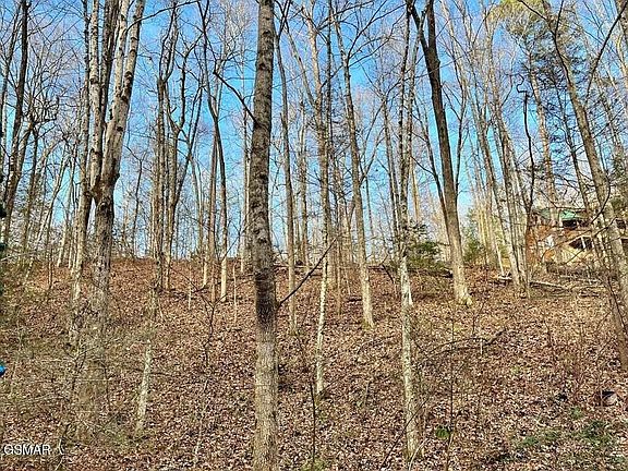 5th image of 303132 N Highland Dr Lot 30C