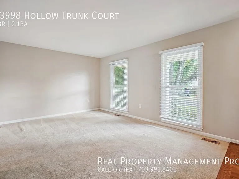 13998 Hollow Trunk Ct — Photo 4