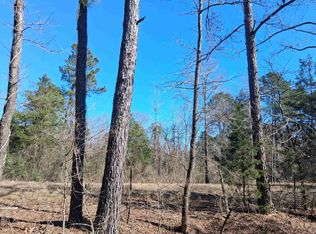 County Rd #1581, Avinger, TX 75630