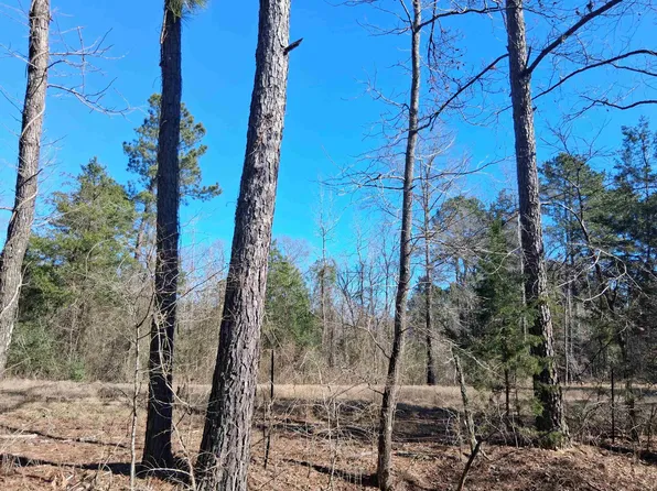 County Rd #1581, Avinger, TX 75630