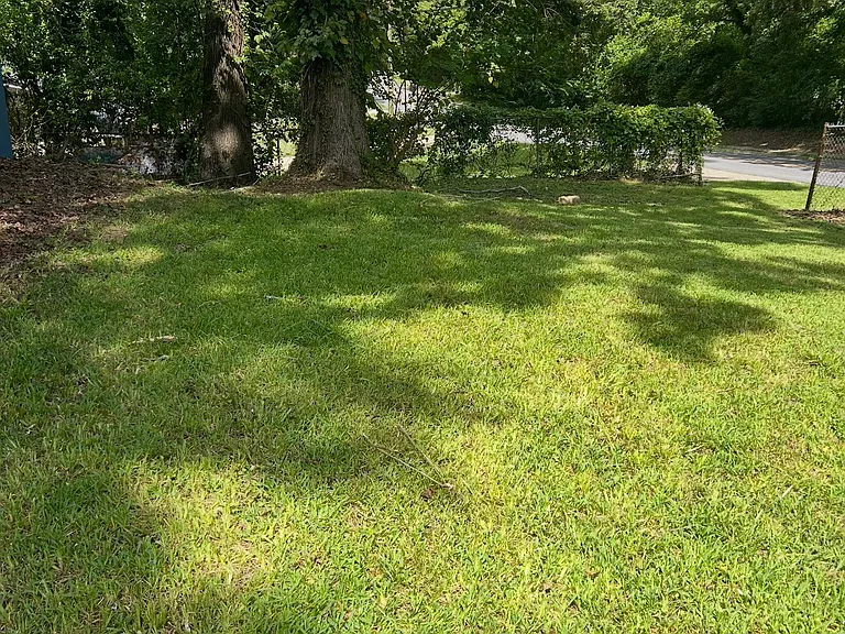 Shelby St — Photo 11