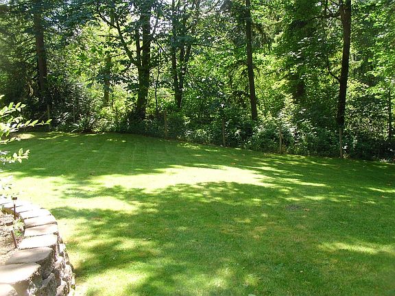 Big Yard & Privacy