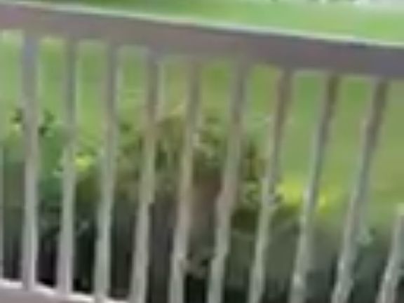 5th image of 8001 Hawkins Ave