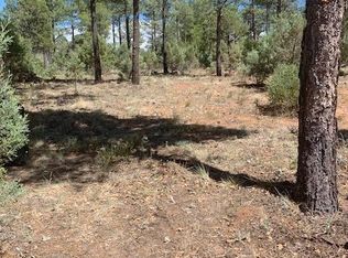 241 E Summerberry Dr, Show Low, AZ 85901