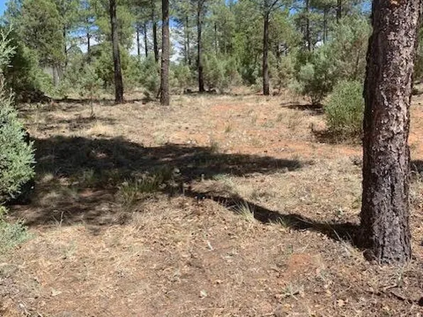 241 E Summerberry Dr, Show Low, AZ 85901