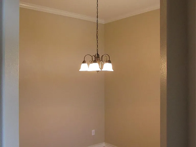 3408 Borden Gully Dr — Photo 5
