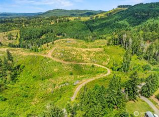 0 Lot B Holcomb Road, Kelso, WA 98626