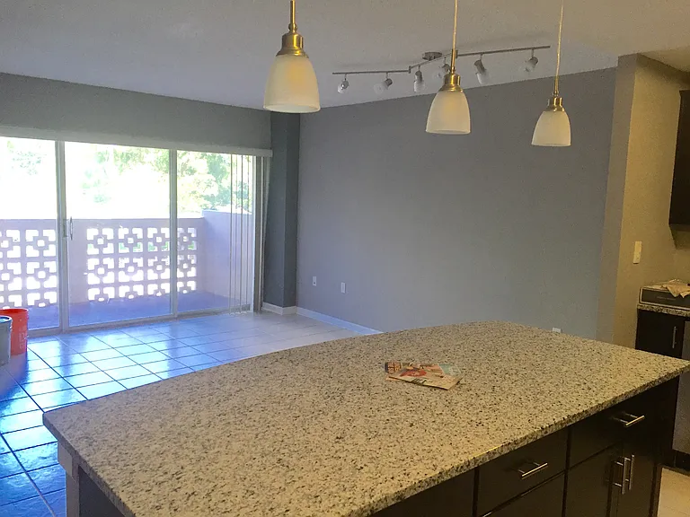 2401 Bayshore Blvd #205 — Photo 11