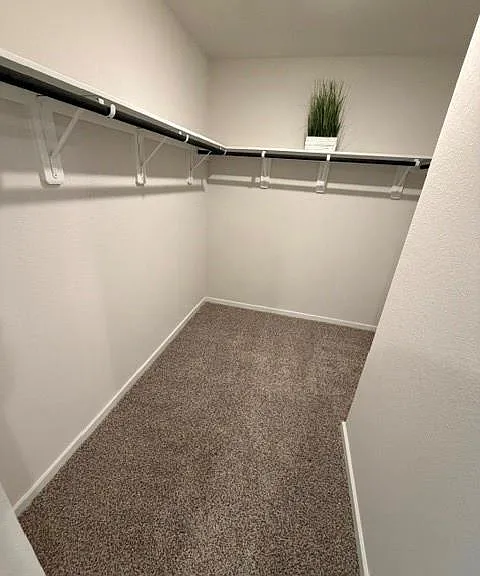 11627 Ruffian Dr — Photo 14