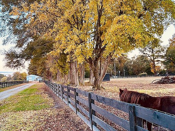 4th image of 3959 State Highway 42 E