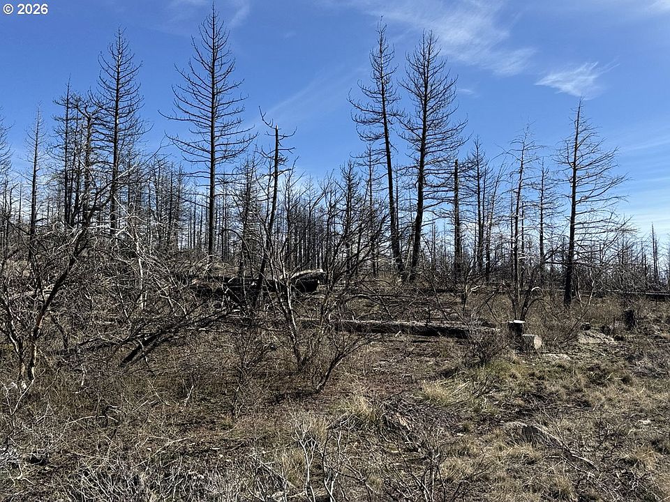 1st image of Hummingbird Dr #1