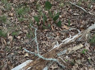 0 Julian, Hot Springs National Park, AR 71913