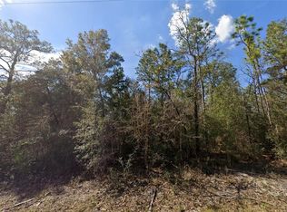 0 Canyon Swallow Rd LOT 5, Brooksville, FL 34614