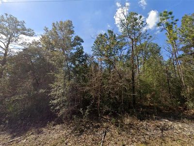 0 Canyon Swallow Rd LOT 5, Brooksville, FL, 34614