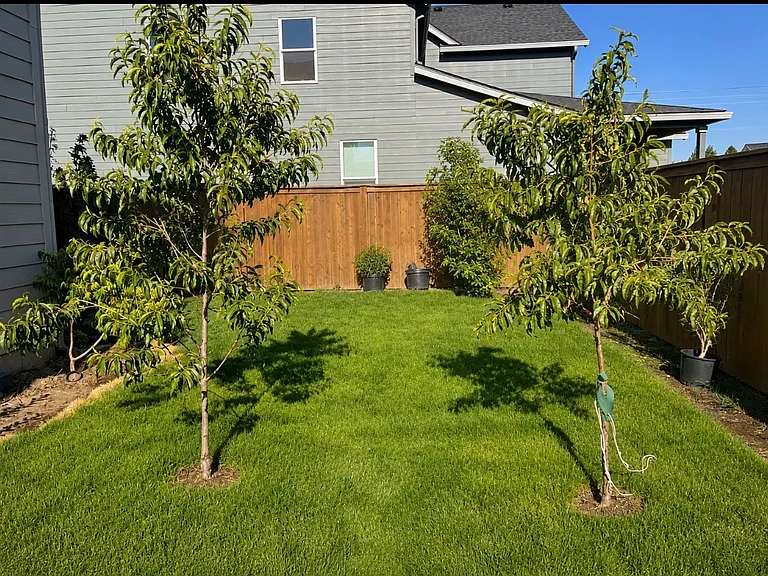 The Backyard wraps around both sides of the house with luscious grass to play on.