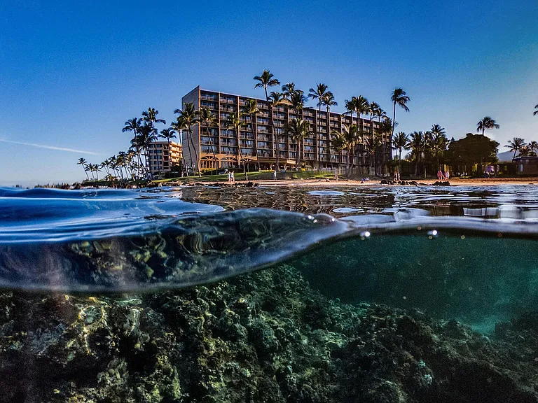 S Kihei Rd — Photo 44