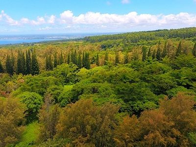 LOT 37 Lot 37, Papaikou, HI, 96781