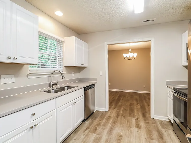 905 Grassy Patch Ln — Photo 9