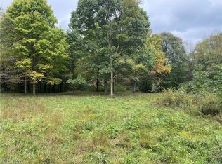 18th St, Wellsville, OH 43968