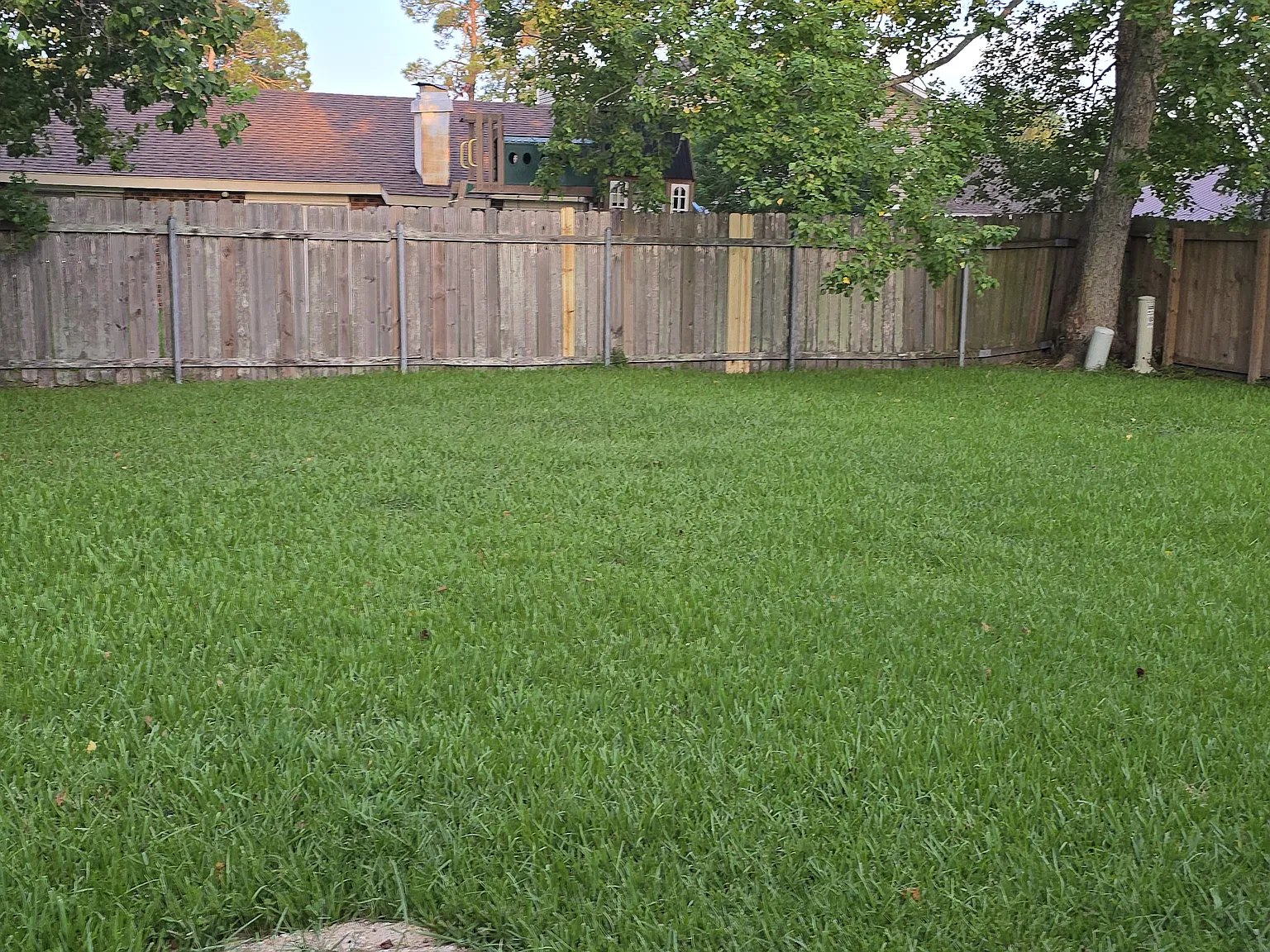 3 bed, 1594 sqft, $1,700 — Photo 3