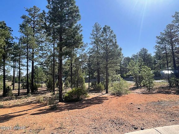2nd image of 101 W Pine Haven Cir
