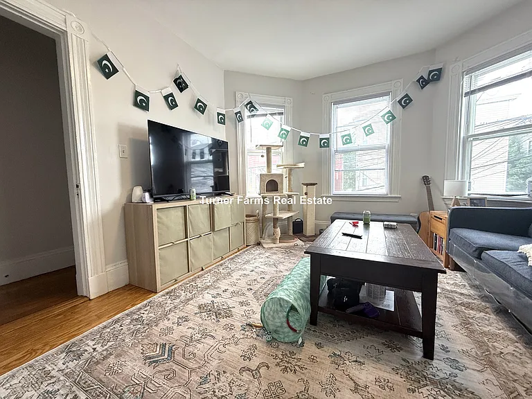 40 Calvin St #2B — Photo 4