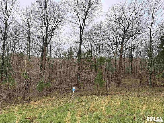 3rd image of 341 & 342 Clifty Ln