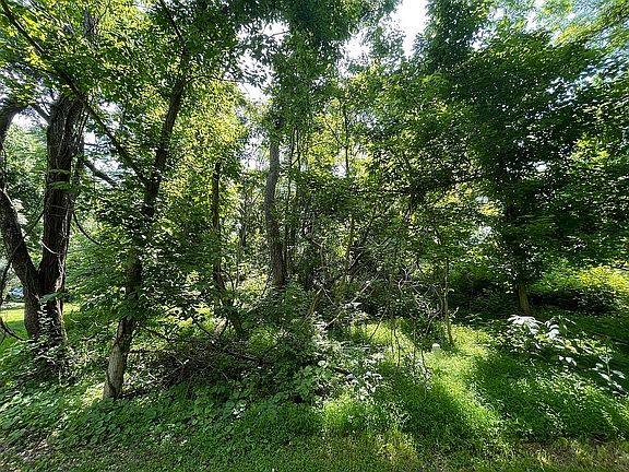 View of lot interior