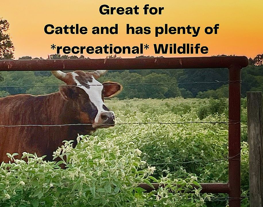 2nd image of 5143 County Road 1116
