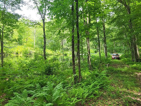 2nd image of 305 Tripp Hollow Rd