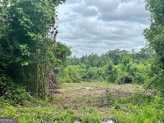 2nd image of 0 Folds Rd Tract D-22.67