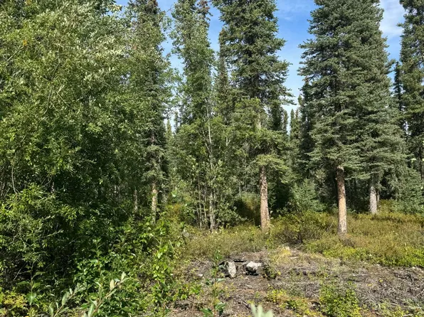 L2 4th St, Glennallen, AK 99588