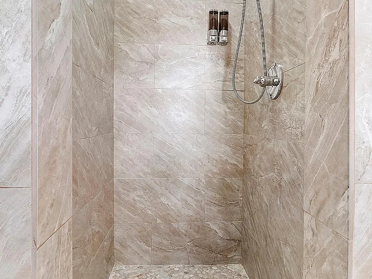 Master bathroom shower