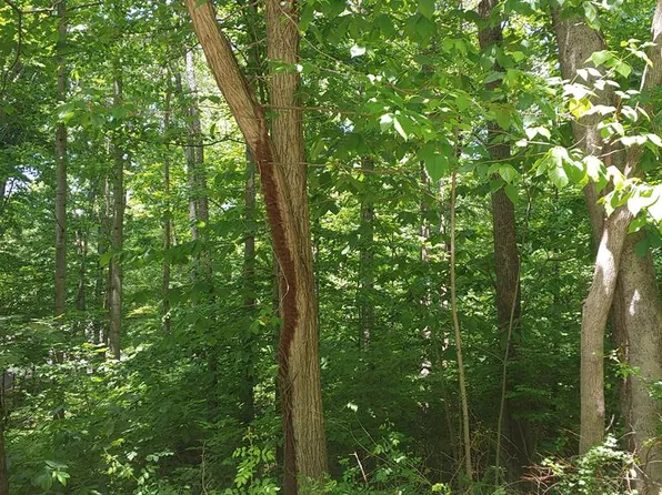 Woodland Dr, Waverly, OH 45690