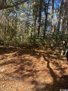 Lot 122 Governor Boone Ln., Georgetown, SC, 29440