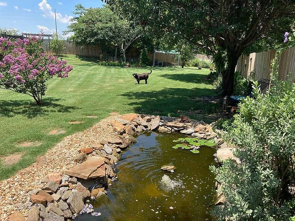 Back yard with water feature